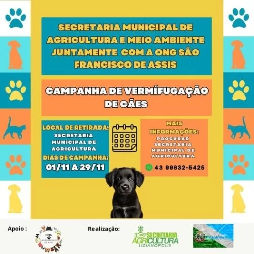 CAMPANHA DE VERMEFUGAÇÃO DE CÃES